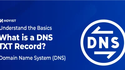 what-is-a-dns-txt-record-hoyist.com